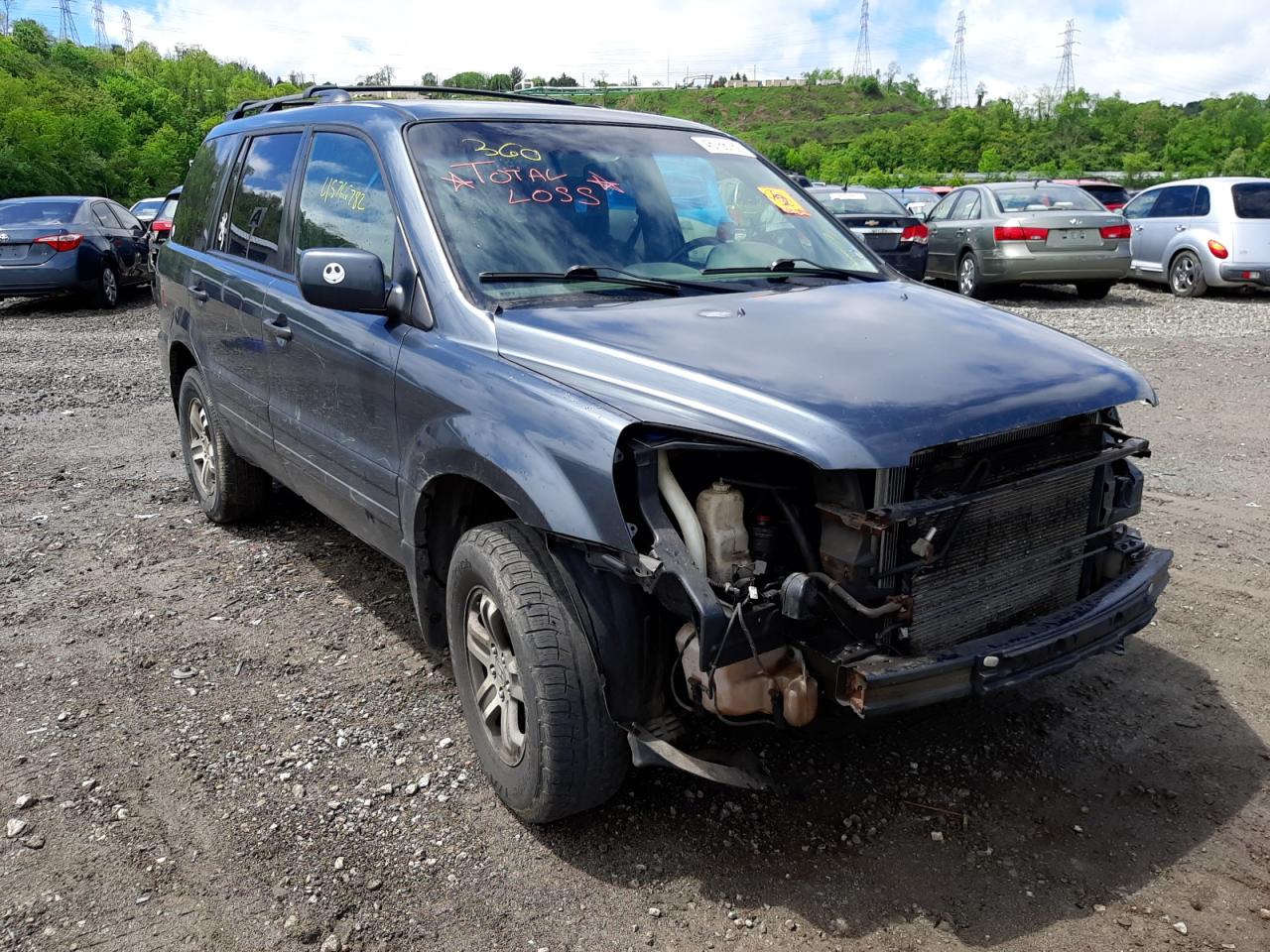 HONDA PILOT EX 2005 with VIN 5FNYF18445B066865 - Photo from auction