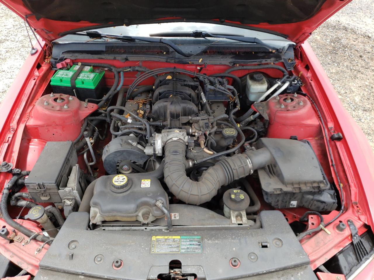 Photo 7 from auction – 2005 FORD MUSTANG with VIN 1ZVFT80N855138355