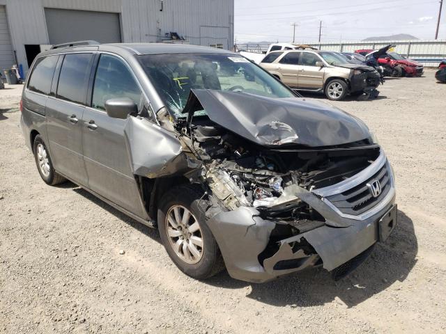 HONDA ODYSSEY EX 2008 with VIN 5FNRL38408B097866 - Photo from auction