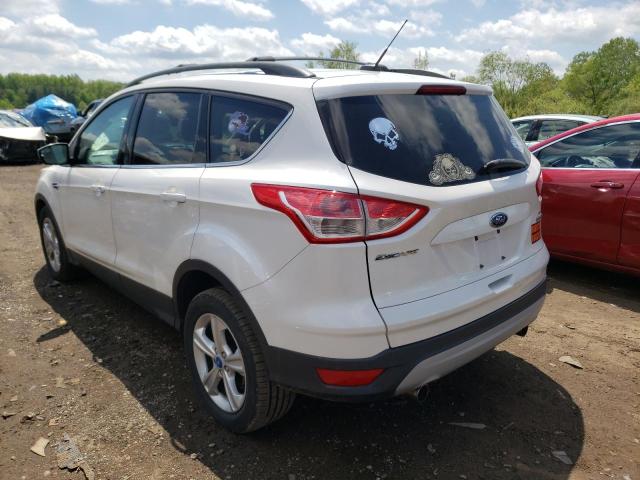 Photo 3 from auction – 2013 FORD ESCAPE SE with VIN 1FMCU0GX6DUD00107