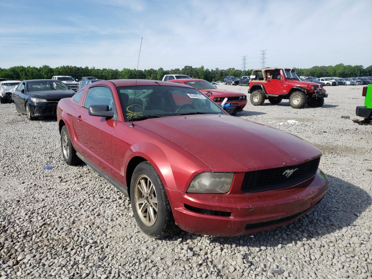 FORD MUSTANG 2005 with VIN 1ZVFT80N055129066 - Photo from auction