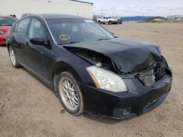 NISSAN MAXIMA SE 2008 with VIN 1N4BA41E88C803954 - Photo from auction