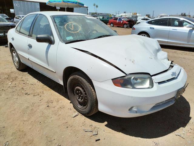 CHEVROLET CAVALIER 2004 with VIN 1G1JC52F147185708 - Photo from auction