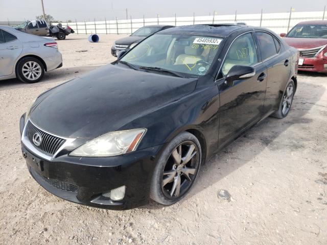 Photo 2 from auction – 2009 LEXUS IS 250 with VIN JTHBK262392083804