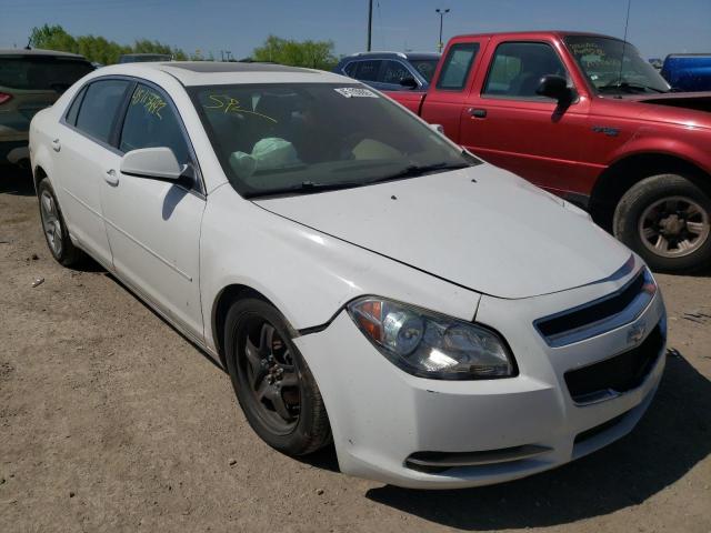 CHEVROLET MALIBU 1LT 2010 with VIN 1G1ZC5EB8AF293448 - Photo from auction