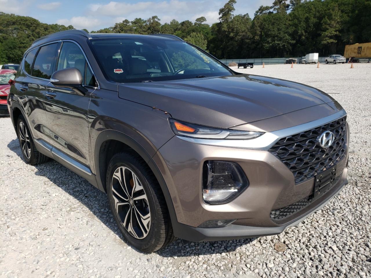 HYUNDAI SANTA FE L 2019 with VIN 5NMS53AA4KH056688 - Photo from auction