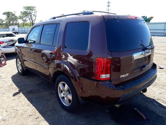 Photo 3 from auction – 2010 HONDA PILOT EXL with VIN 5FNYF4H51AB037862