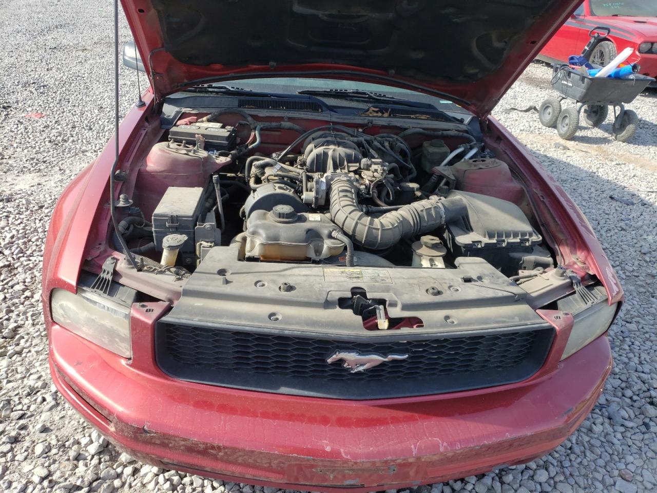 Photo 7 from auction – 2005 FORD MUSTANG with VIN 1ZVFT80N055129066