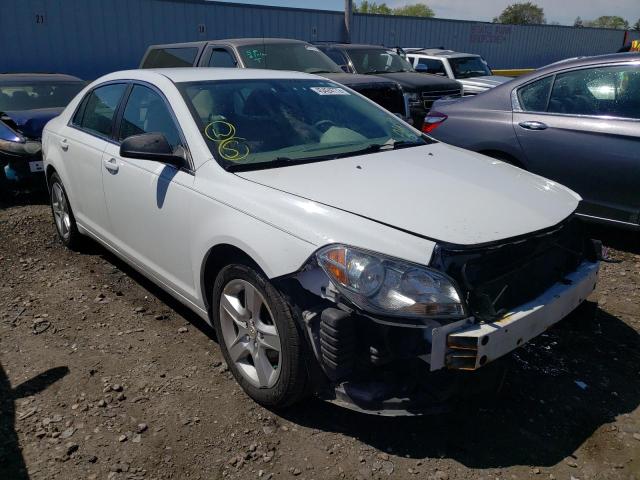 CHEVROLET MALIBU LS 2010 with VIN 1G1ZA5E01AF282862 - Photo from auction