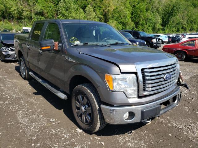 Photo 1 from auction – 2010 FORD F150 SUPER with VIN 1FTFW1EV2AFB20206