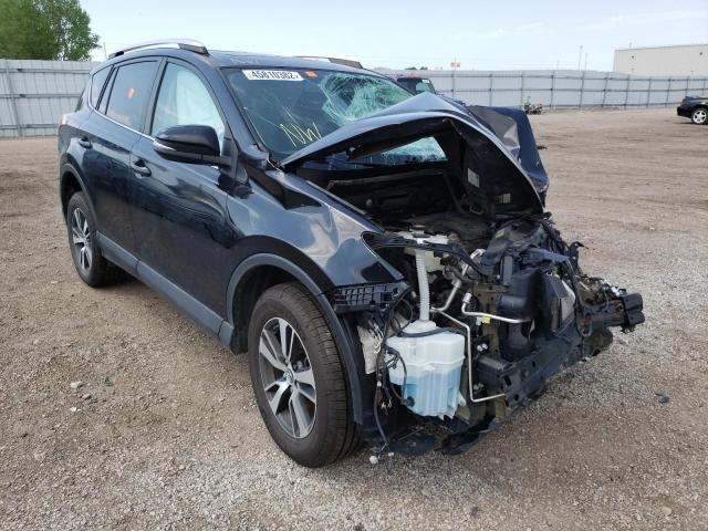 TOYOTA RAV4 XLE 2016 with VIN 2T3RFREV8GW410842 - Photo from auction