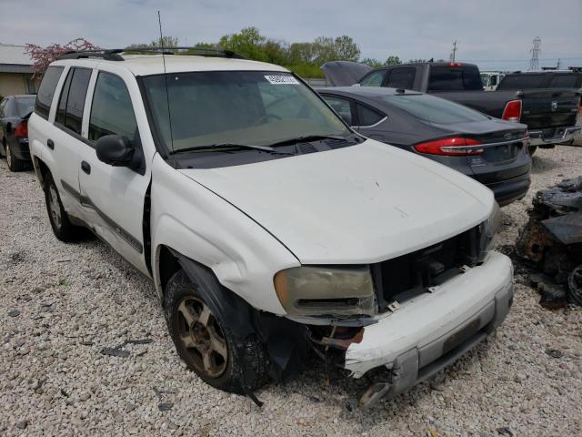 CHEVROLET TRAILBLAZE 2002 with VIN 1GNDT13S622377460 - Photo from auction