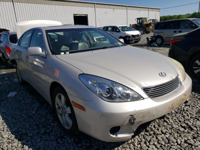 LEXUS ES 330 2005 with VIN JTHBA30G355093707 - Photo from auction