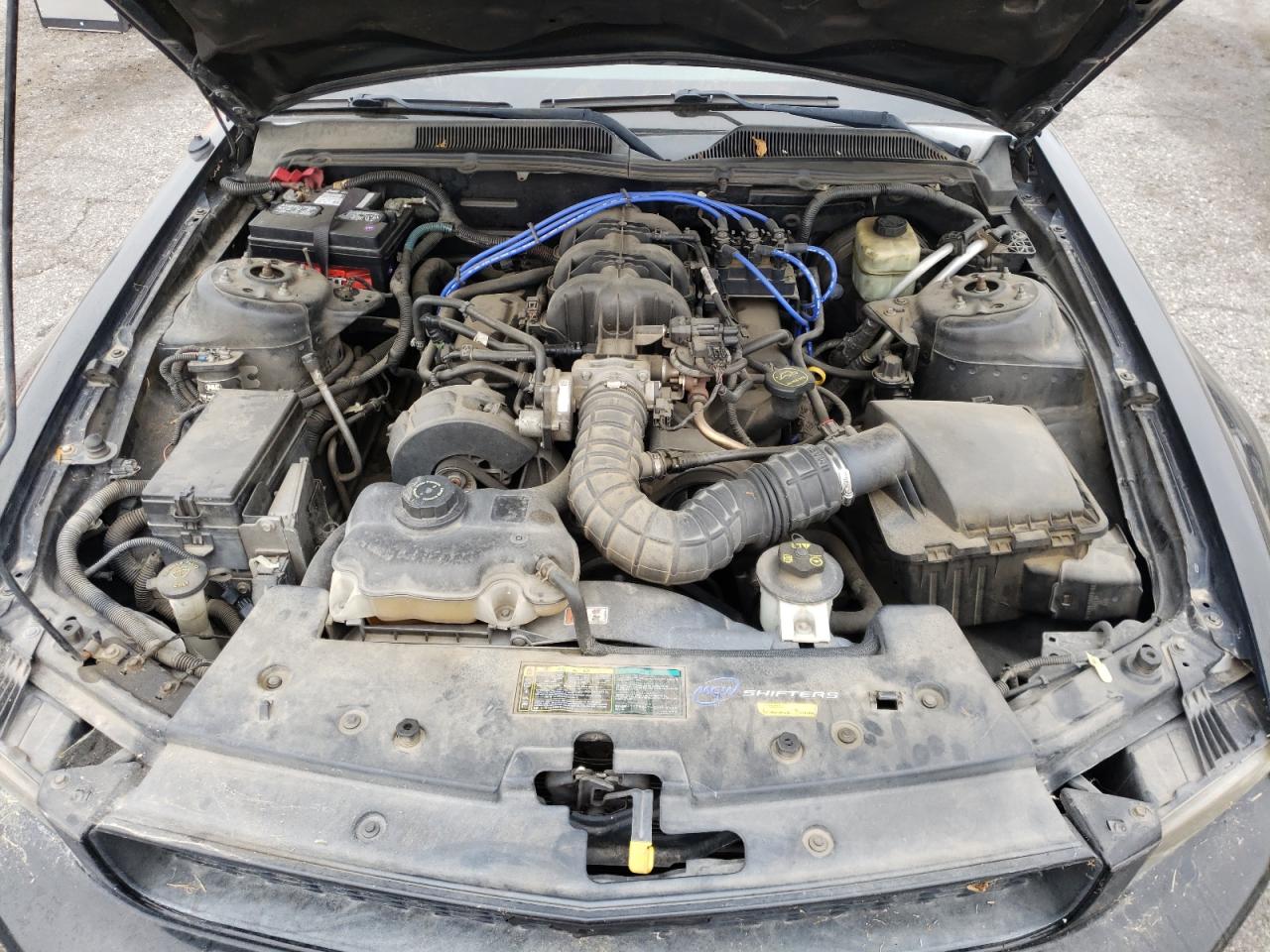 Photo 7 from auction – 2005 FORD MUSTANG with VIN 1ZVFT80N255172758