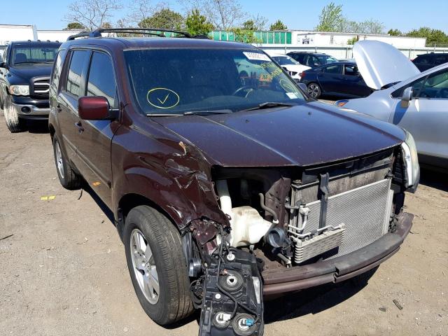 HONDA PILOT EXL 2010 with VIN 5FNYF4H51AB037862 - Photo from auction