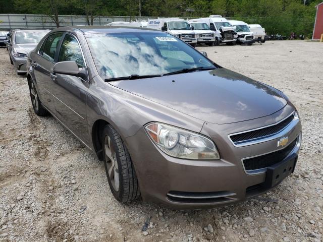 CHEVROLET MALIBU 1LT 2011 with VIN 1G1ZC5E10BF285420 - Photo from auction