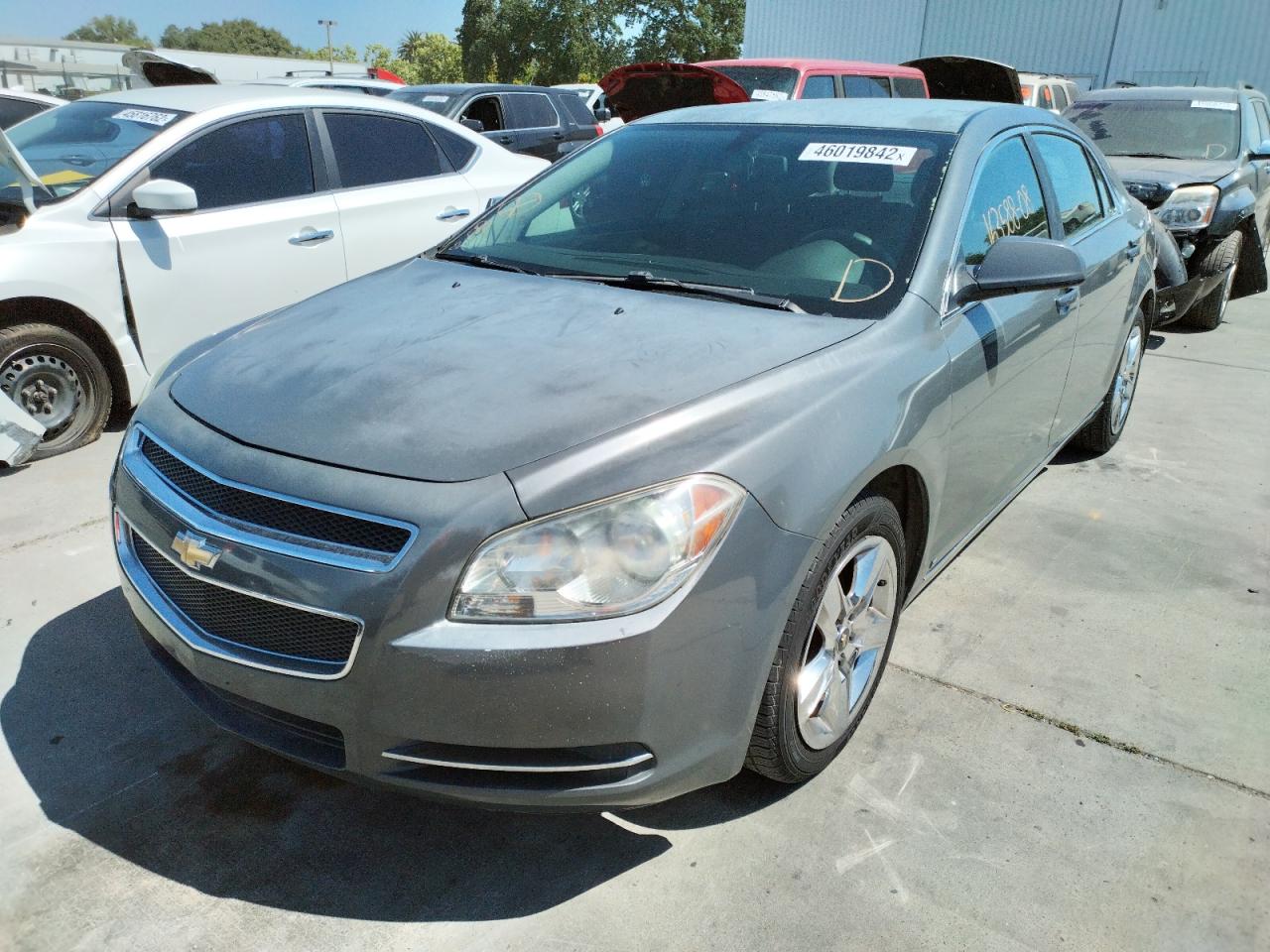 Photo 2 from auction – 2009 CHEVROLET MALIBU 1LT with VIN 1G1ZH57B09F144221