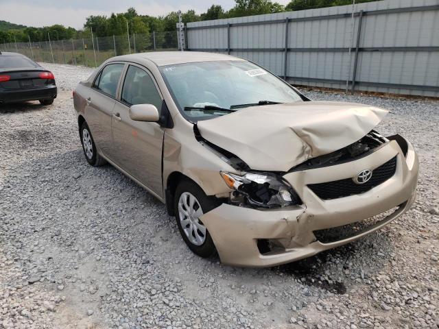 TOYOTA COROLLA BA 2010 with VIN 1NXBU4EE0AZ257187 - Photo from auction