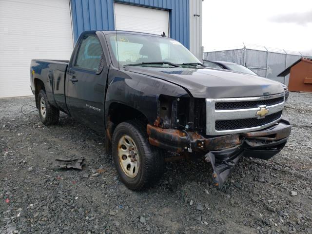 CHEVROLET SILVERADO 2012 with VIN 1GCNKPEX9CZ255485 - Photo from auction