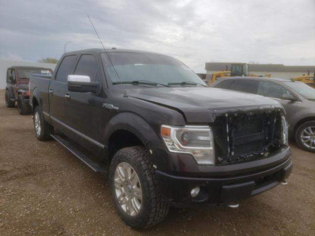 FORD F150 SUPER 2013 with VIN 1FTFW1EFXDFB60840 - Photo from auction