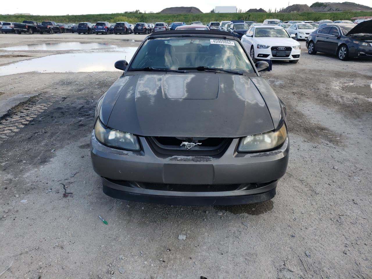 Photo 9 from auction – 2003 FORD MUSTANG GT with VIN 1FAFP45X23F375396