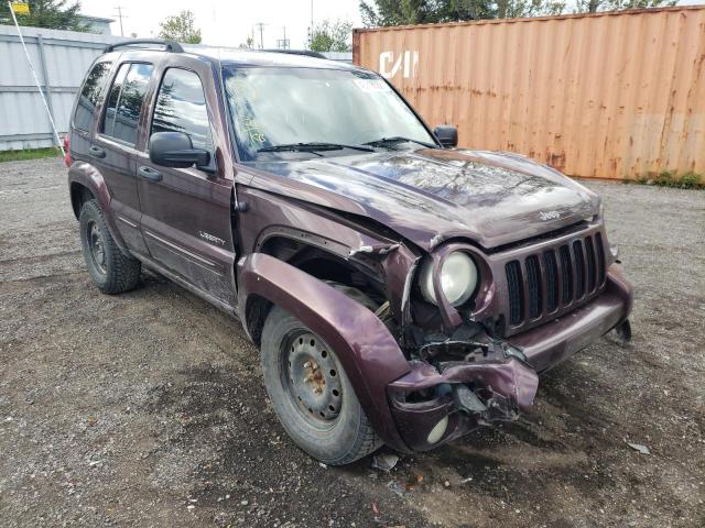 JEEP LIBERTY LI 2004 with VIN 1J4GL58K74W165954 - Photo from auction