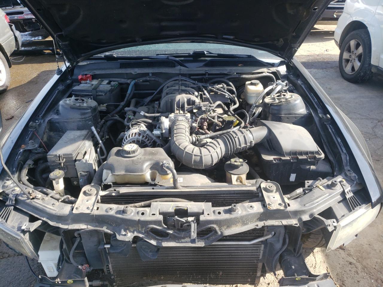 Photo 7 from auction – 2007 FORD MUSTANG with VIN 1ZVFT80N875270924