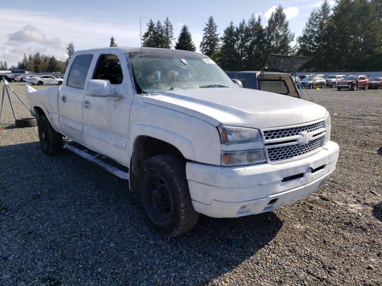 CHEVROLET SILVERADO 2005 with VIN 1GCHK23U45F869809 - Photo from auction