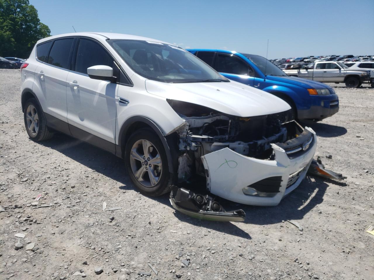 FORD ESCAPE SE 2014 with VIN 1FMCU0GX2EUD02583 - Photo from auction