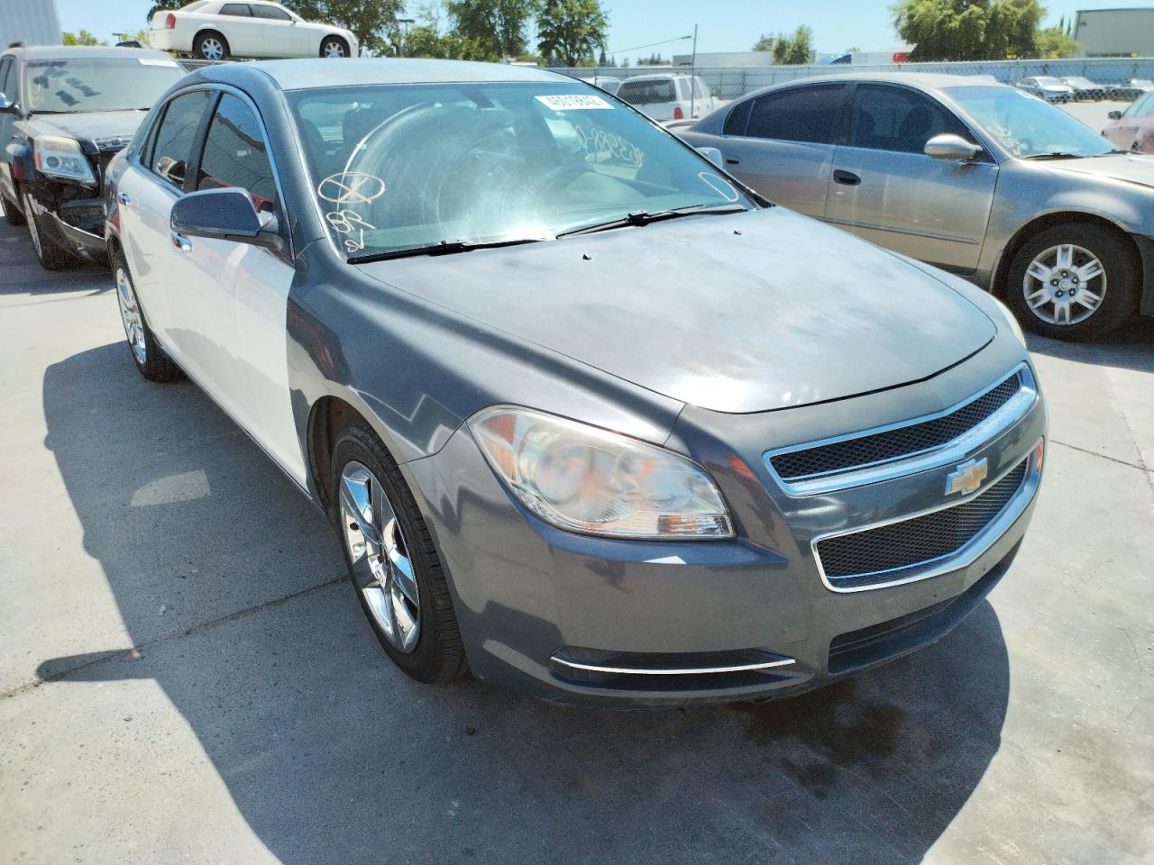 CHEVROLET MALIBU 1LT 2009 with VIN 1G1ZH57B09F144221 - Photo from auction