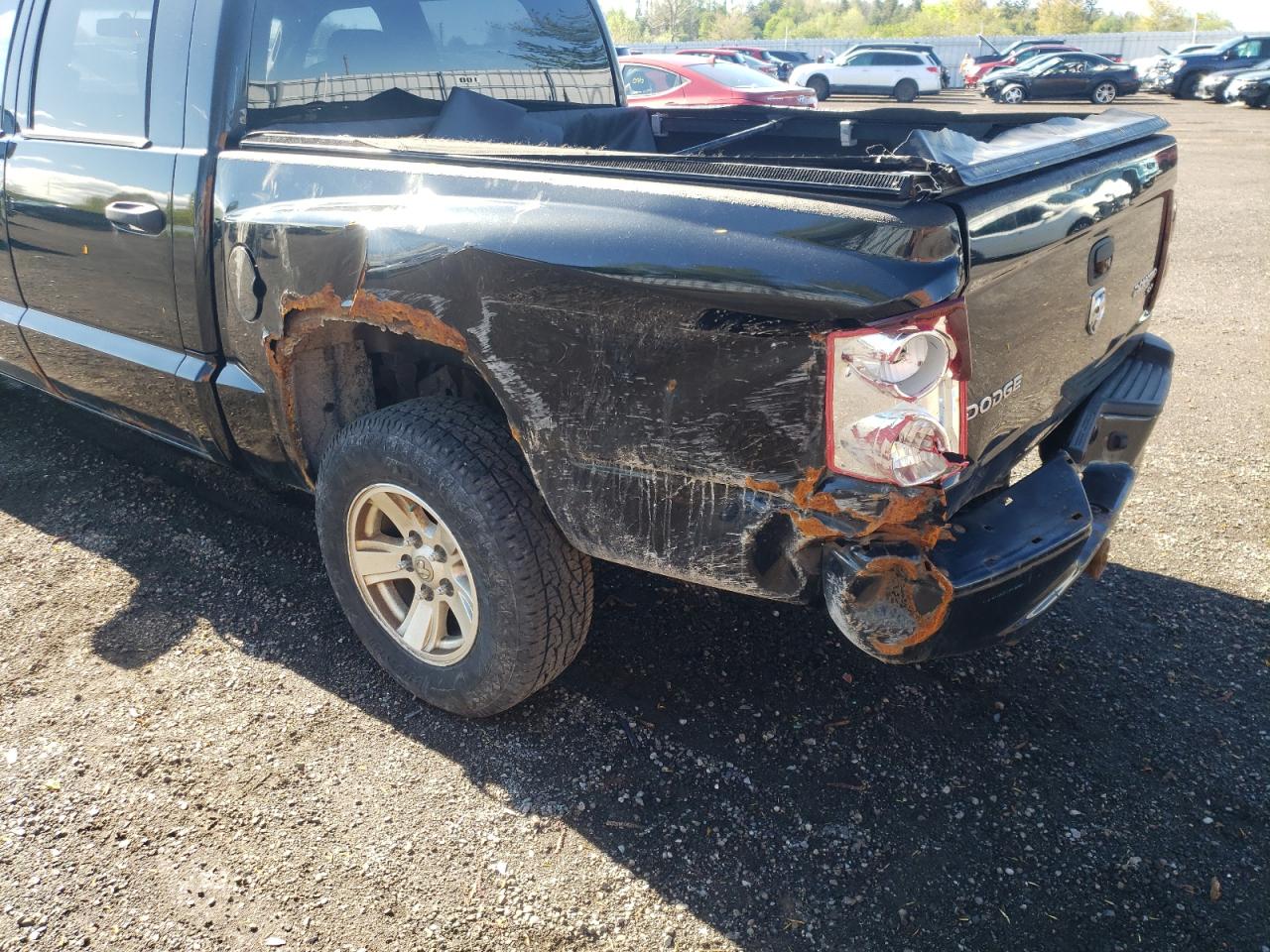 Photo 9 from auction – 2011 DODGE DAKOTA SLT with VIN 1D7RW3GK6BS504659