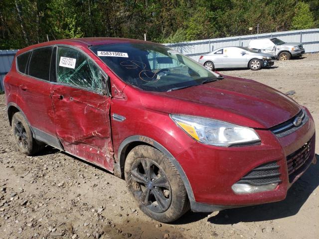 FORD ESCAPE SE 2016 with VIN 1FMCU0G74GUB85415 - Photo from auction