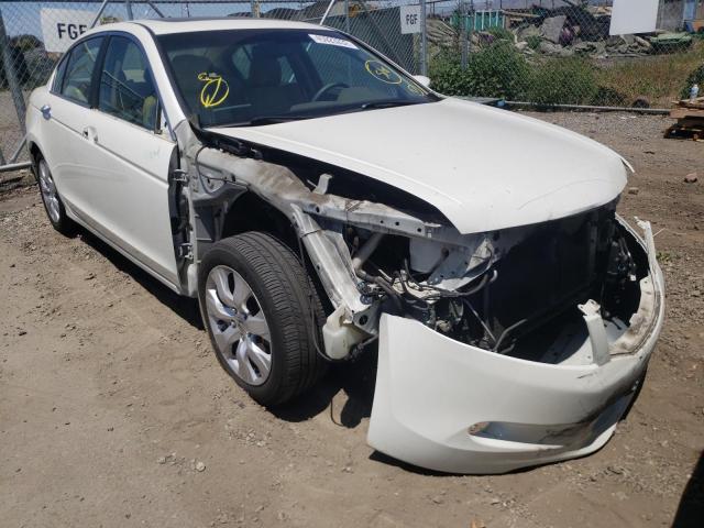 HONDA ACCORD EXL 2010 with VIN 1HGCP3F84AA001981 - Photo from auction