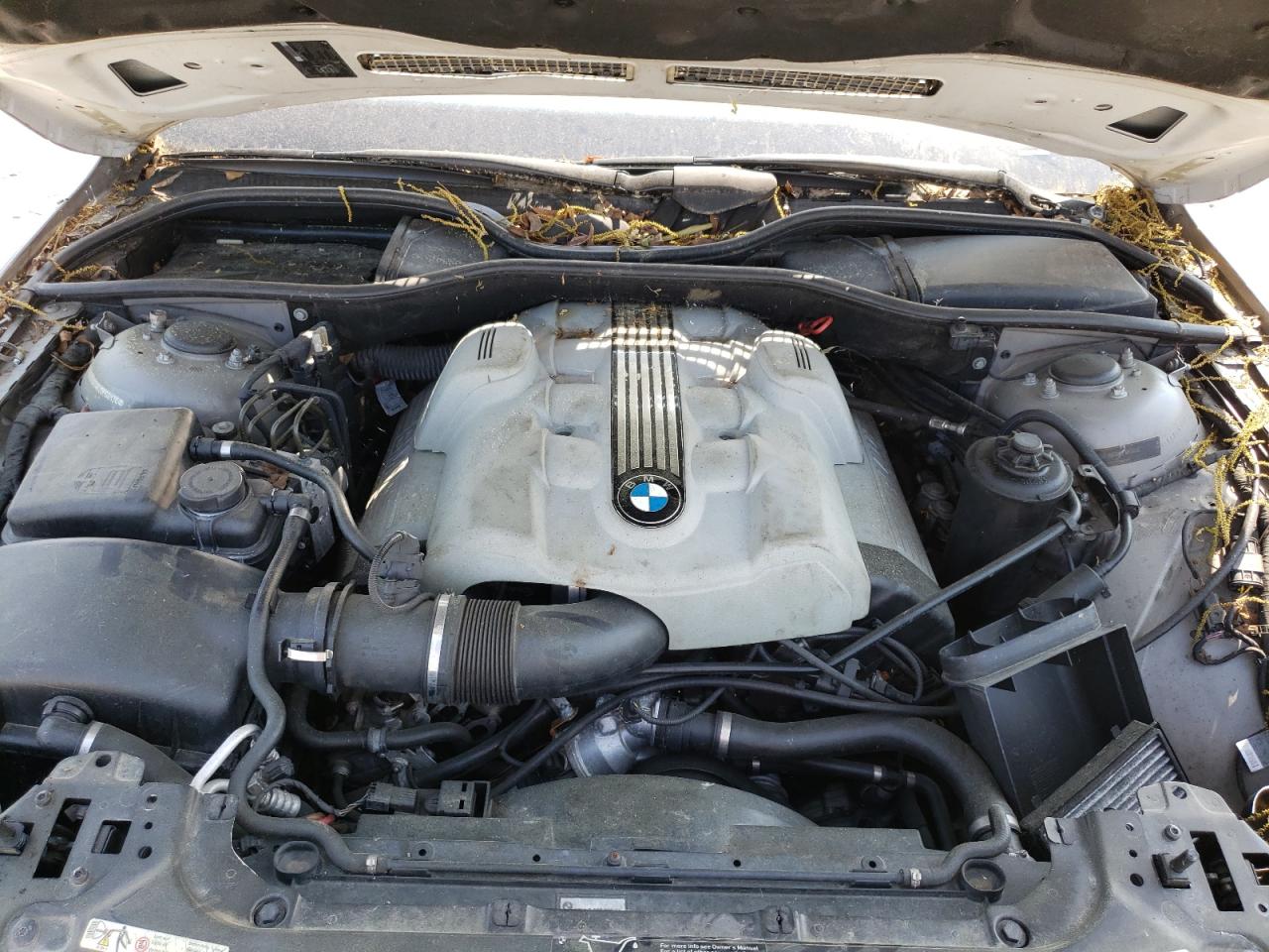Photo 7 from auction – 2002 BMW 745 I with VIN WBAGL63462DP60126