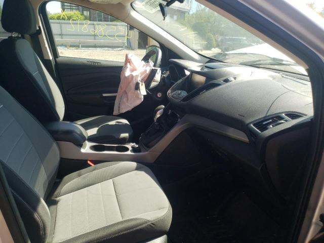 Фото 5 с аукциона – 2014 FORD ESCAPE SE с VIN 1FMCU9GX4EUC48353