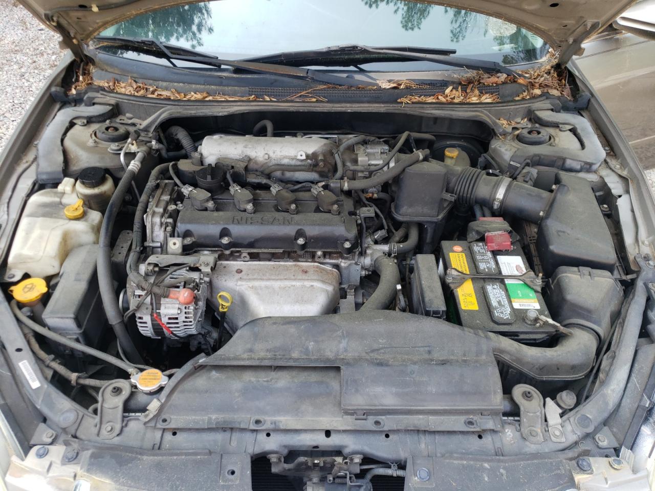 Photo 7 from auction – 2003 NISSAN ALTIMA BAS with VIN 1N4AL11D43C147899