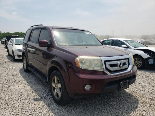 HONDA PILOT EX 2009 with VIN 5FNYF48419B046127 - Photo from auction