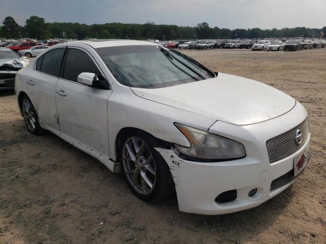 NISSAN MAXIMA S 2010 with VIN 1N4AA5AP8AC848868 - Photo from auction