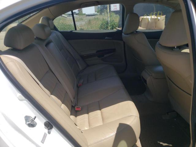 Photo 6 from auction – 2010 HONDA ACCORD EXL with VIN 1HGCP3F84AA001981