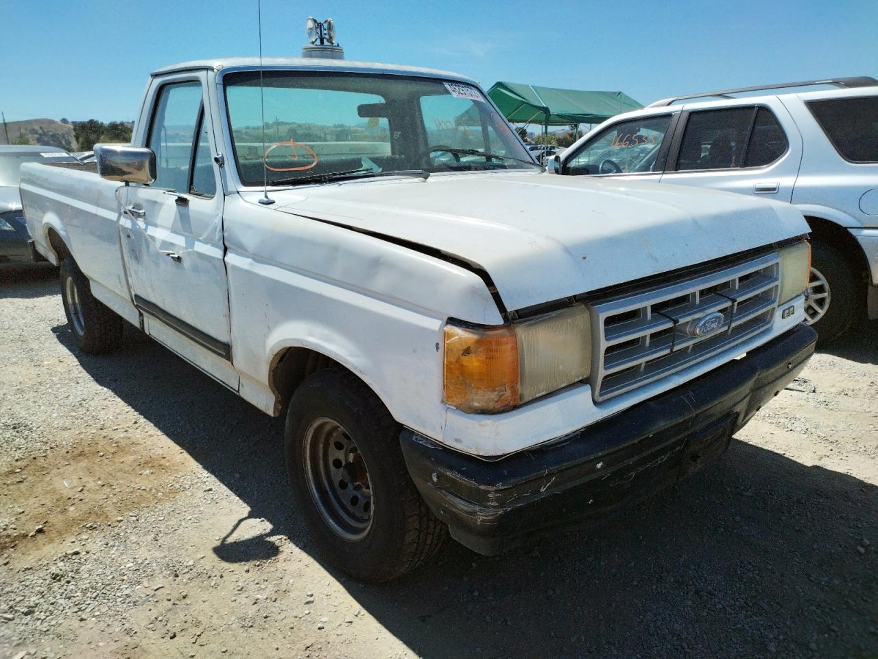 FORD F150 1990 with VIN 1FTEF15Y6LPB57732 - Photo from auction