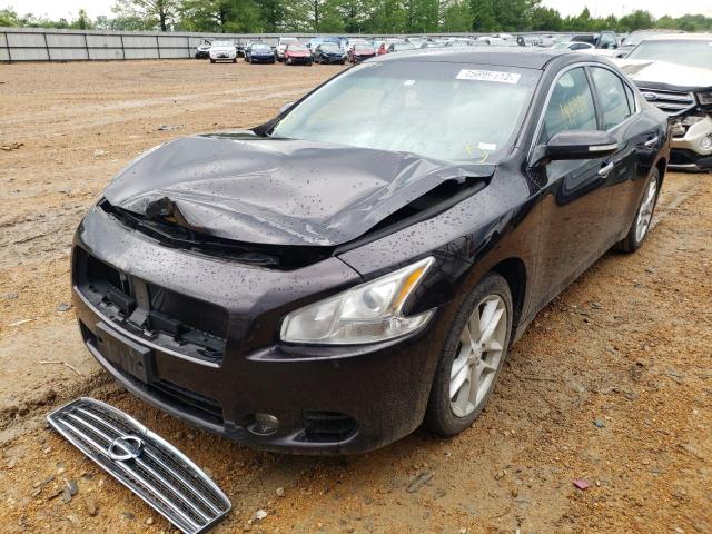 Photo 2 from auction – 2010 NISSAN MAXIMA S with VIN 1N4AA5AP7AC849767