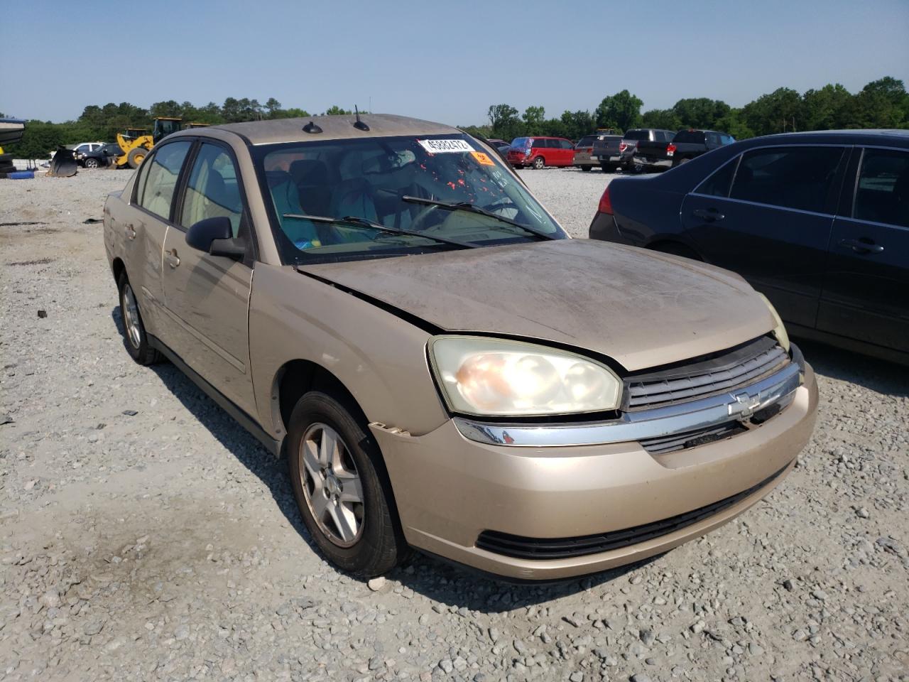 CHEVROLET MALIBU LS 2005 with VIN 1G1ZT54885F187089 - Photo from auction