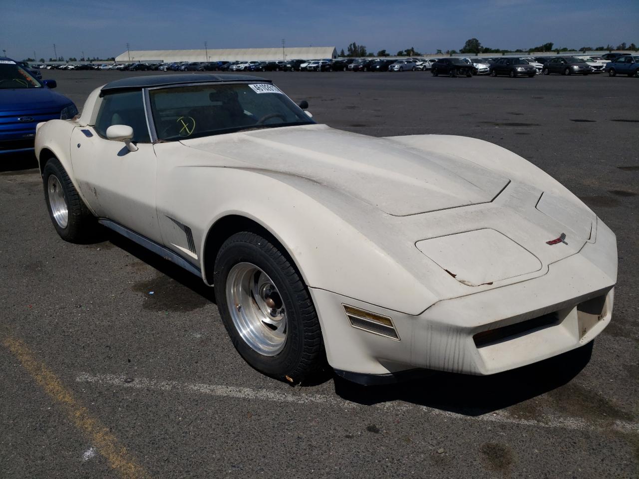 CHEVROLET CORVETTE 1981 with VIN 1G1AY8763B5106463 - Photo from auction