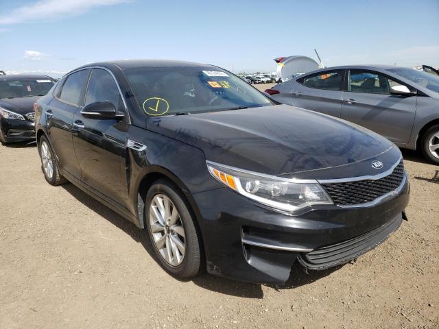 KIA OPTIMA LX 2016 with VIN 5XXGT4L38GG021089 - Photo from auction