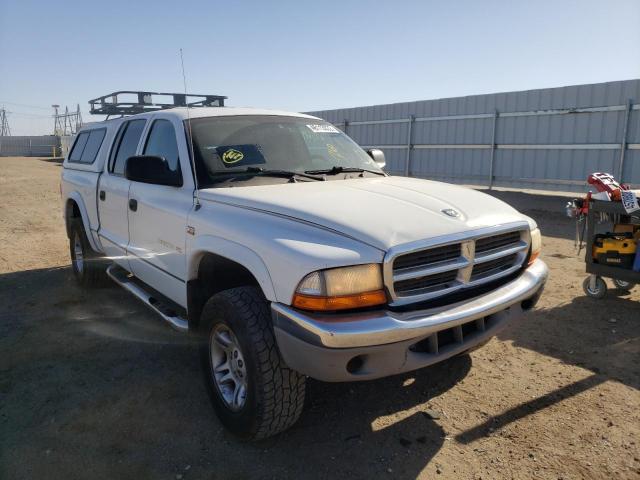 DODGE DAKOTA QUA 2002 with VIN 1B7HG48N02S605424 - Photo from auction