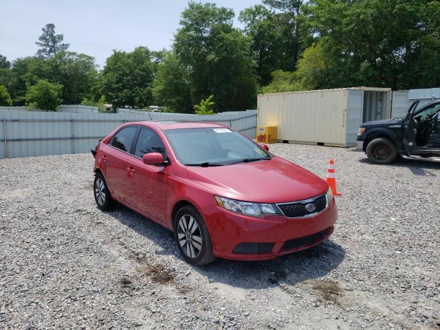 KIA FORTE EX 2013 with VIN KNAFU4A26D5671300 - Photo from auction