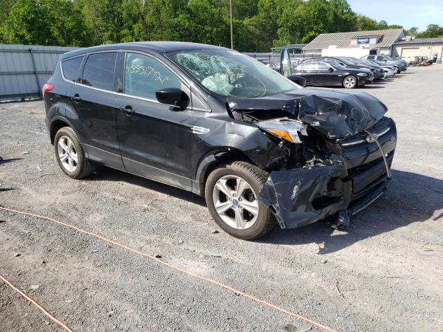 FORD ESCAPE SE 2013 with VIN 1FMCU0GX8DUC99624 - Photo from auction