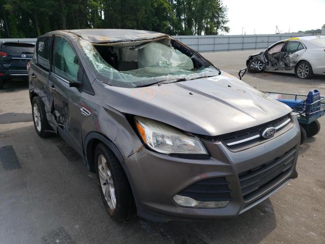 Photo 1 from auction – 2014 FORD ESCAPE SE with VIN 1FMCU0GX5EUB54400