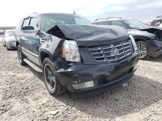 CADILLAC ESCALADE L 2010 with VIN 1GYUKBEF1AR138819 - Photo from auction