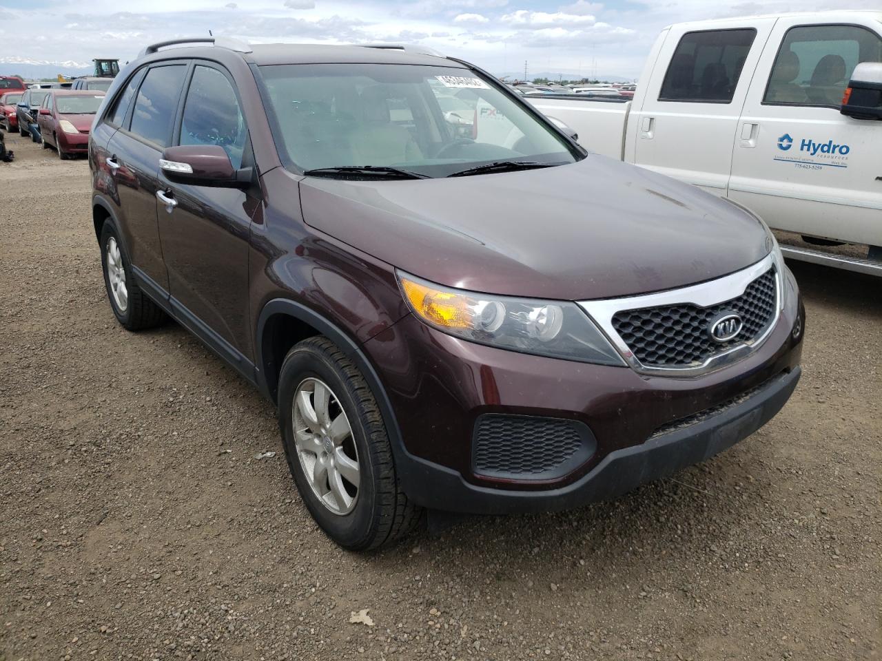 KIA SORENTO LX 2013 with VIN 5XYKT4A24DG349301 - Photo from auction